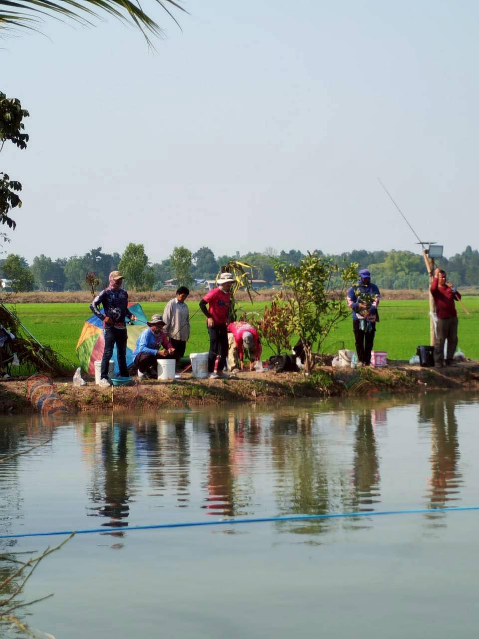⛰️โคก หนอง นา พัฒนาชุมชนบ้านคลองอ้ายกาบ หมู่ที่ 10 ตำบลดงประคำ อำเภอพรหมพิราม จังหวัดพิษณุโลก