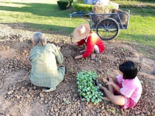 ตำบลศรีภิรมย์ น้อมนำแนวพระราชดำริของสมเด็จพระกนิษฐาธิราชเจ้า กรมสมเด็จพระเทพรัตนราชสุดาฯ สยามบรมราชกุมารี ส่งเสริมการปลูกพืชผักสวนครัว สร้างความมั่นคงทางอาหาร